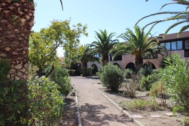 Appartement Saint Cyprien Plage 6 Couchages מראה חיצוני תמונה