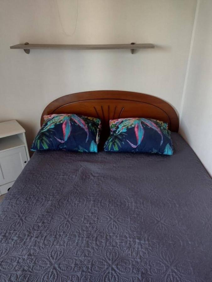 Appartement Saint Cyprien Plage 6 Couchages מראה חיצוני תמונה